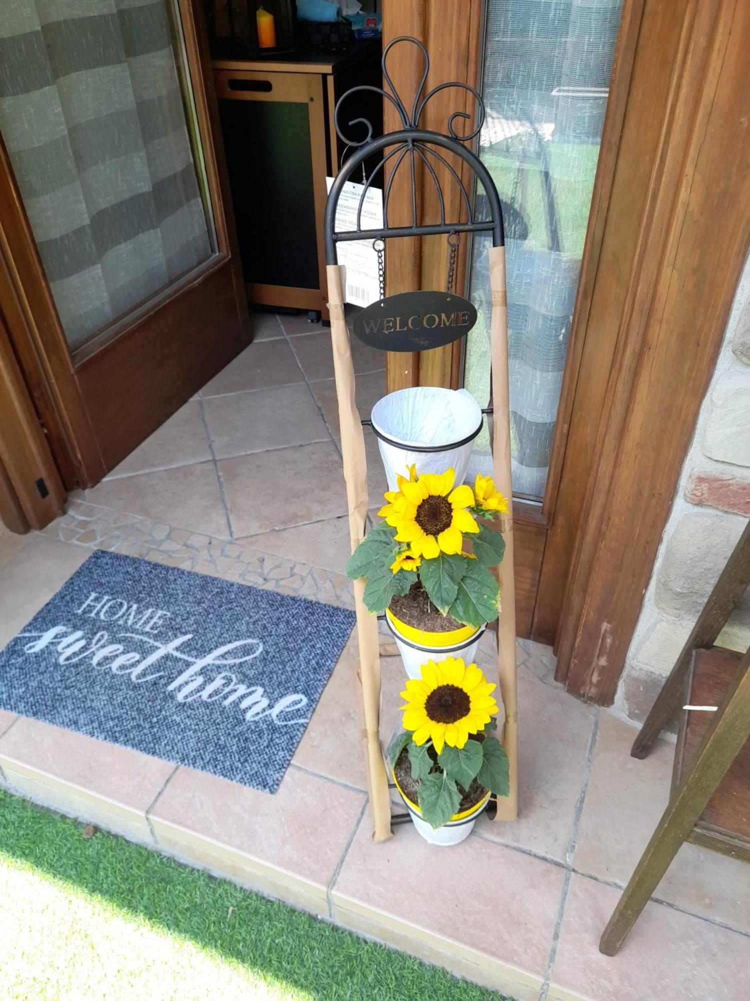 La Taverna Da Irene Roe Zewnętrze zdjęcie